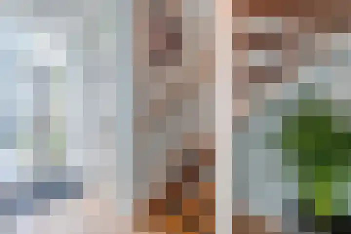 Rijnstraat 9 Alkmaar thumbnail 13