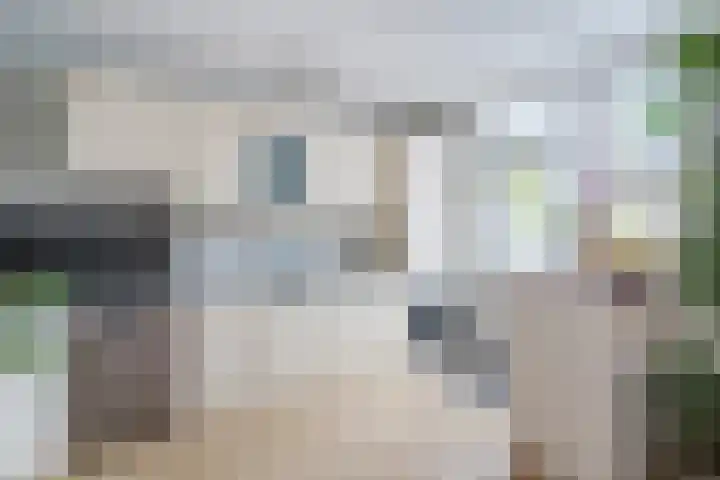 Rijnstraat 9 Alkmaar thumbnail 20