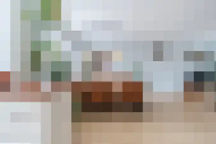 Rijnstraat 9 Alkmaar thumbnail 22