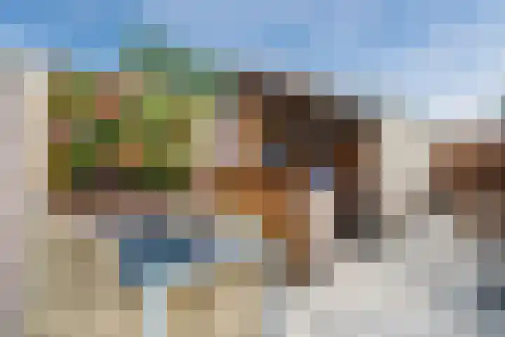 Rijnstraat 9 Alkmaar thumbnail 4