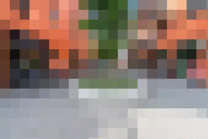 Rijnstraat 9 Alkmaar thumbnail 44