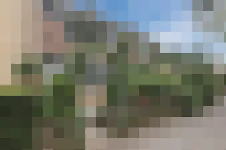 Rijnstraat 9 Alkmaar thumbnail 9