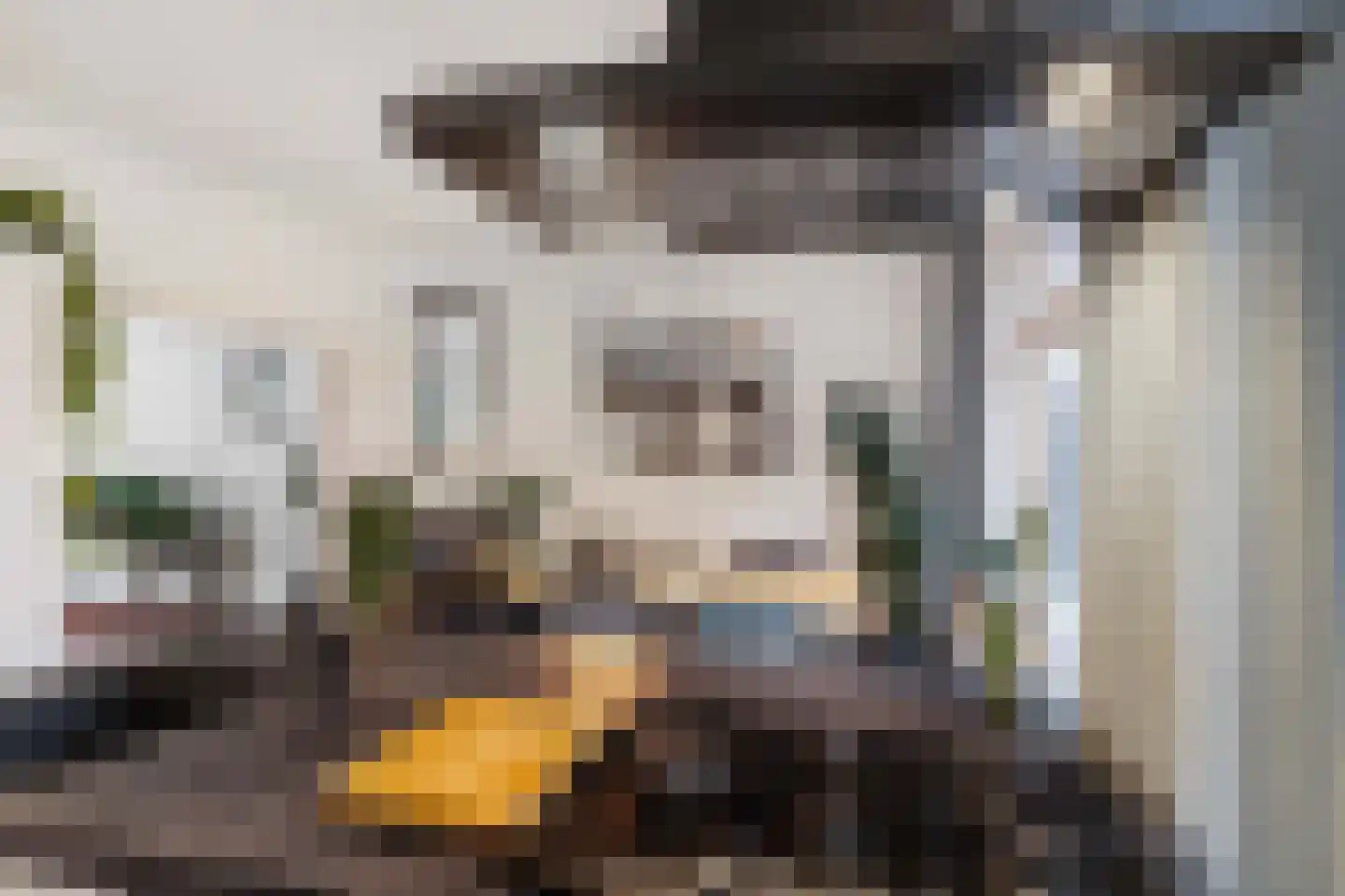 Rijnstraat 9 Groningen thumbnail 13