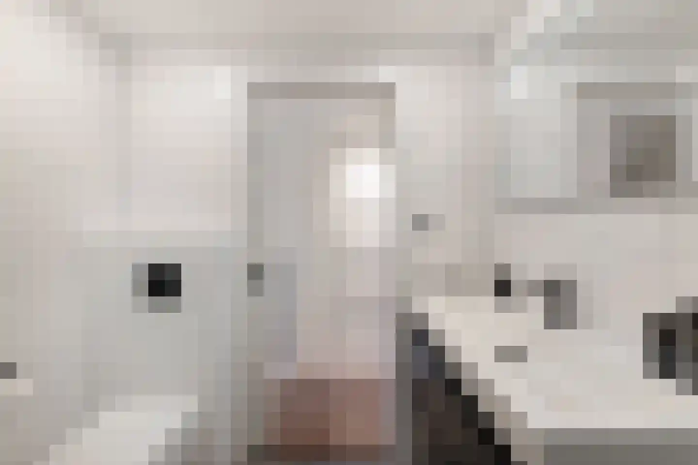 Rijnstraat 9 Groningen thumbnail 27