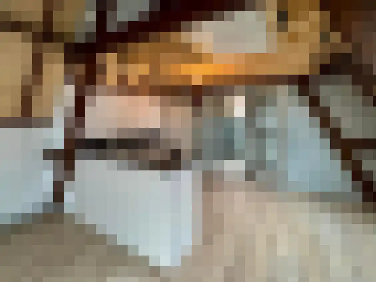 Rijnstraat 9 Leiden thumbnail 4