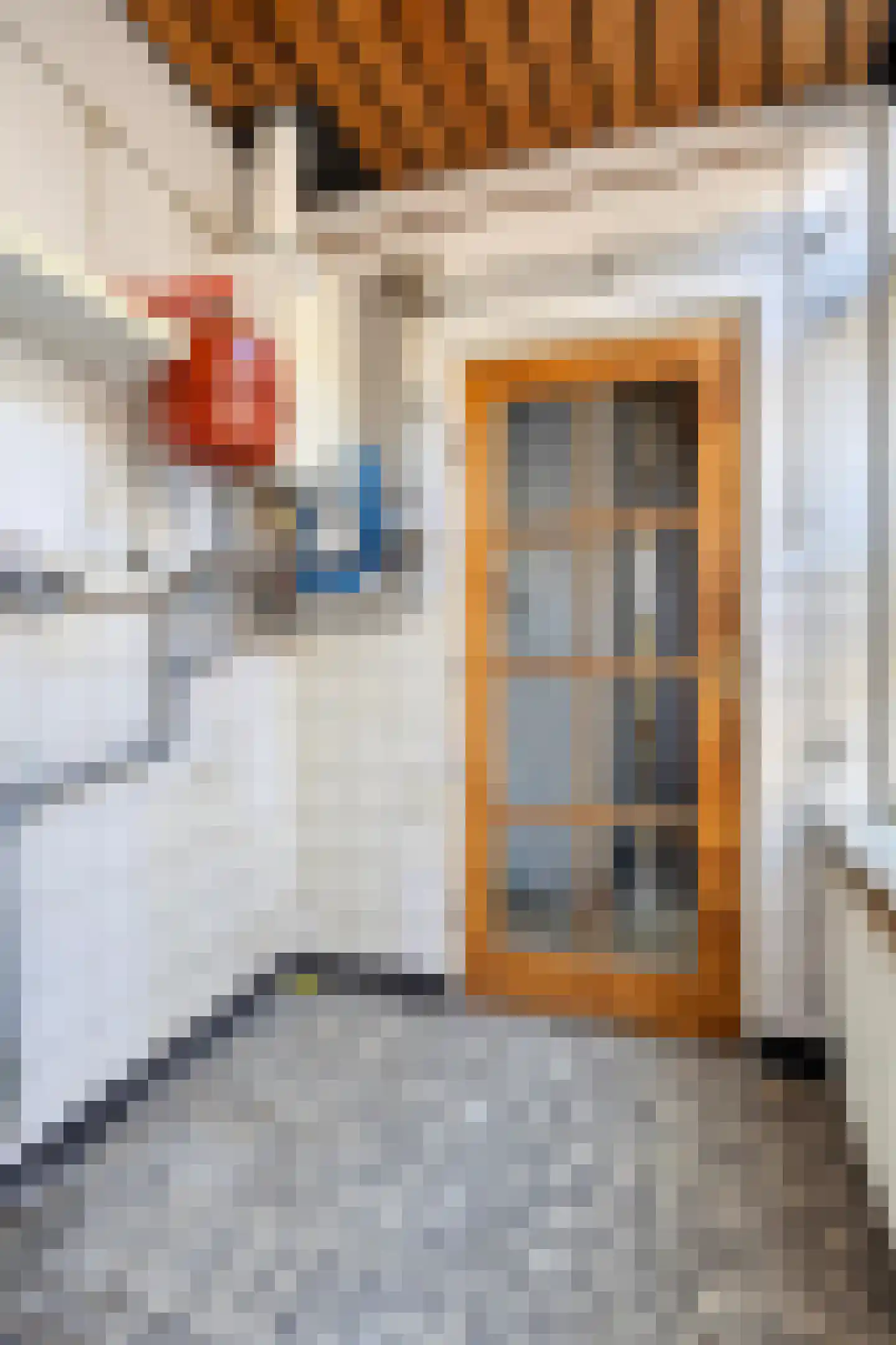 Rijnstraat 9 Rhenen thumbnail 18