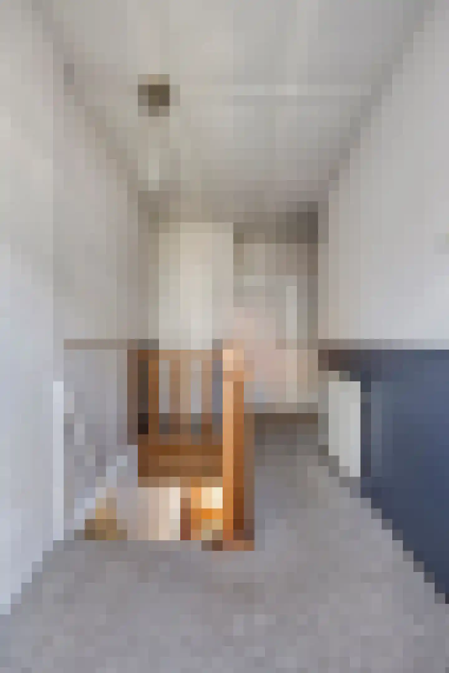 Rijnstraat 9 Rhenen thumbnail 20