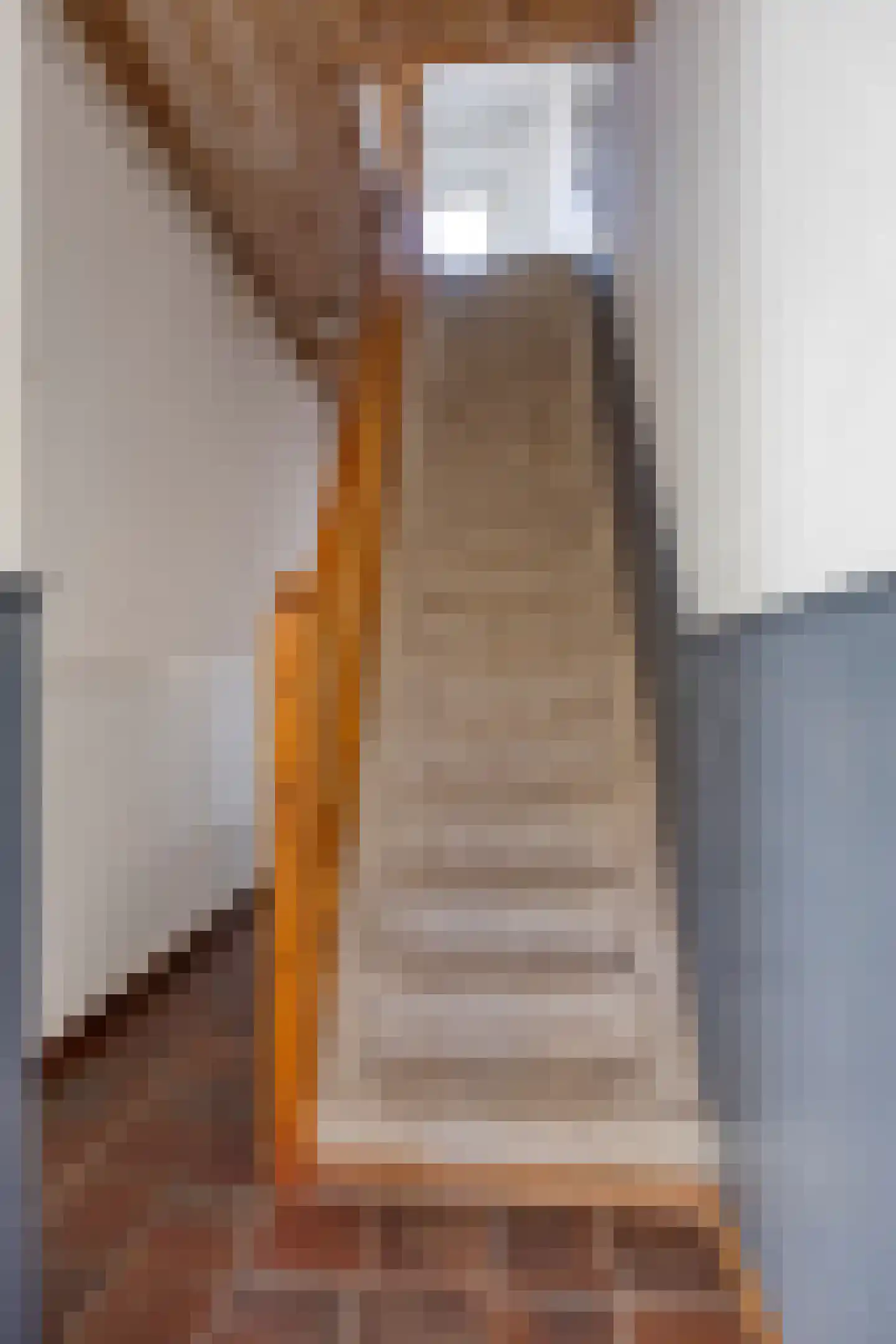 Rijnstraat 9 Rhenen thumbnail 8