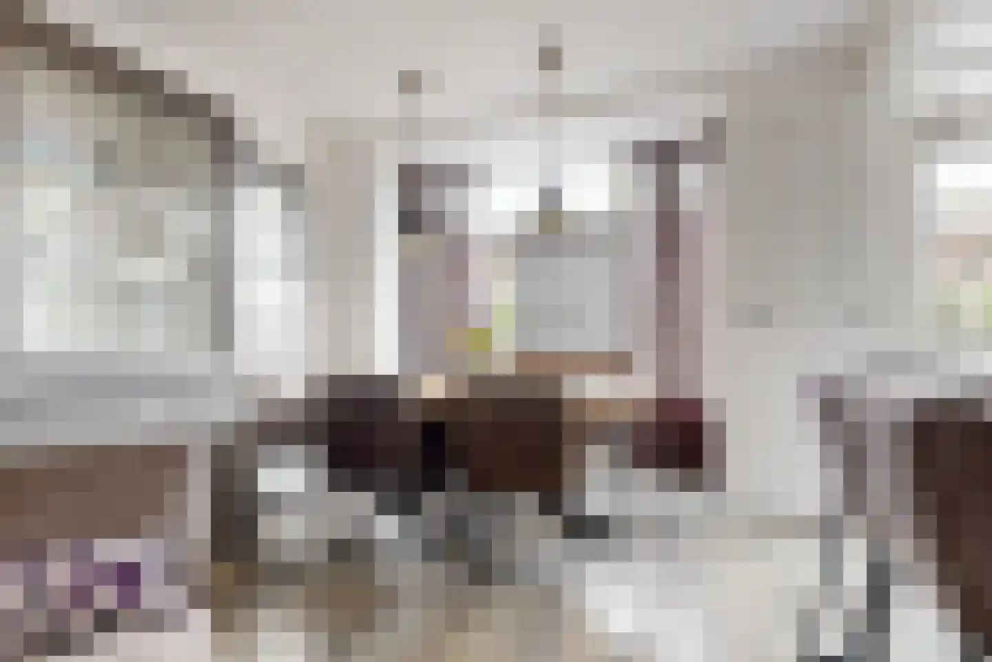 Rijnstraat 9 Zoeterwoude thumbnail 10