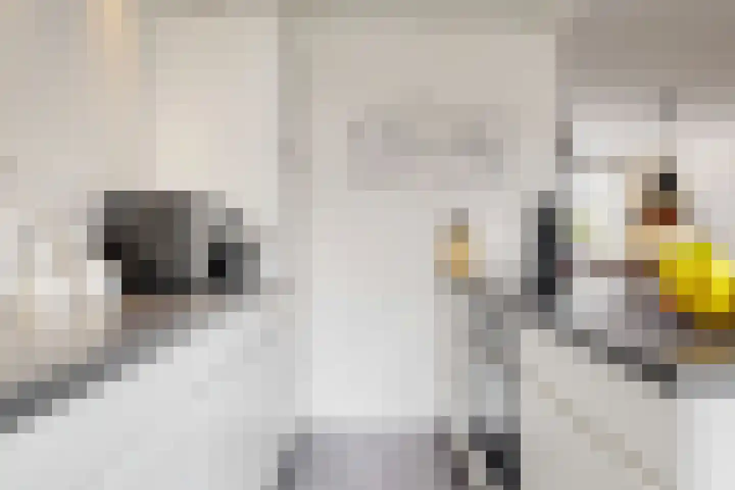 Rijnstraat 9 Zoeterwoude thumbnail 13