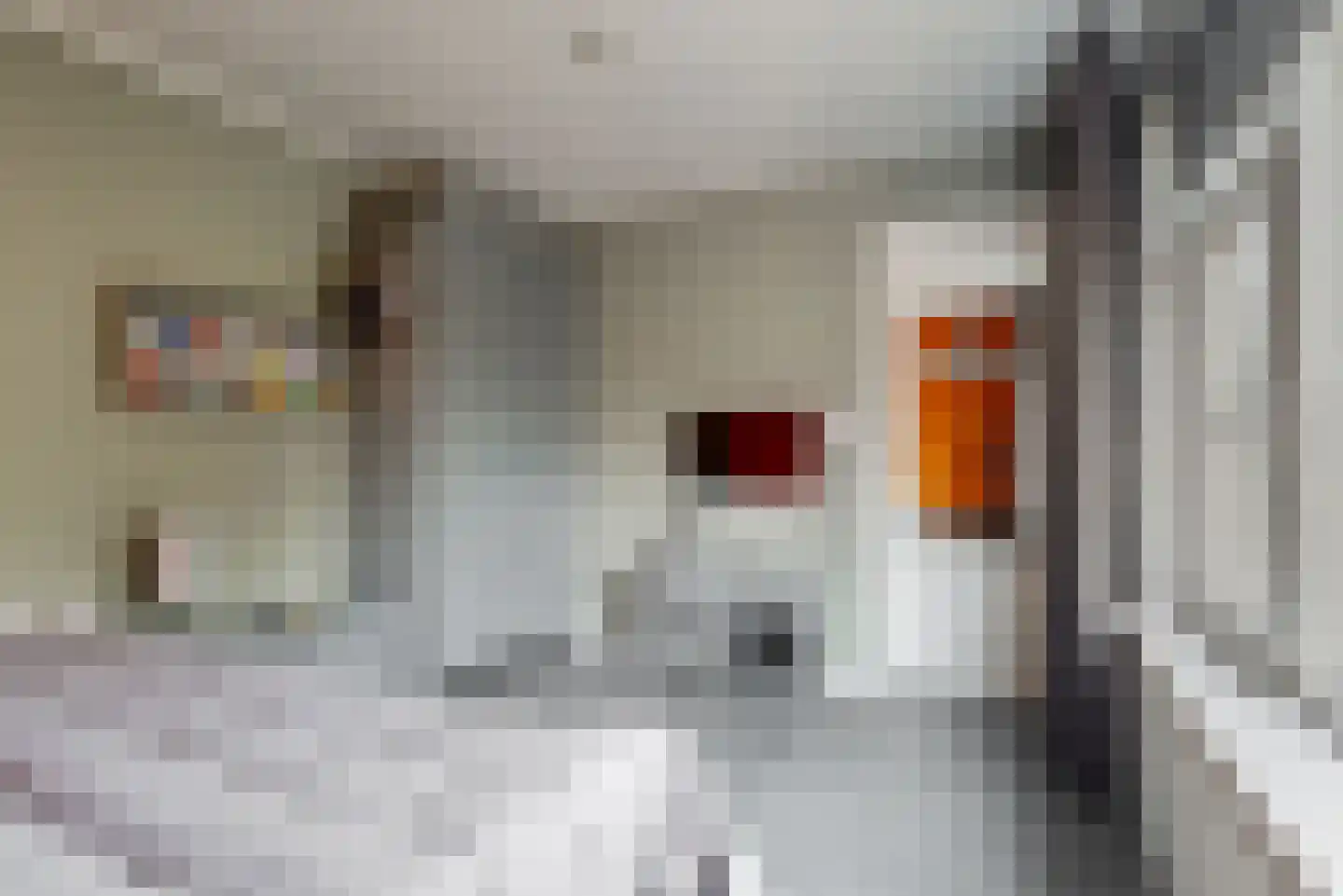 Rijnstraat 9 Zoeterwoude thumbnail 21