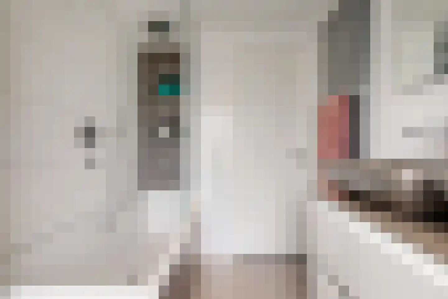 Rijnstraat 9 Zoeterwoude thumbnail 25