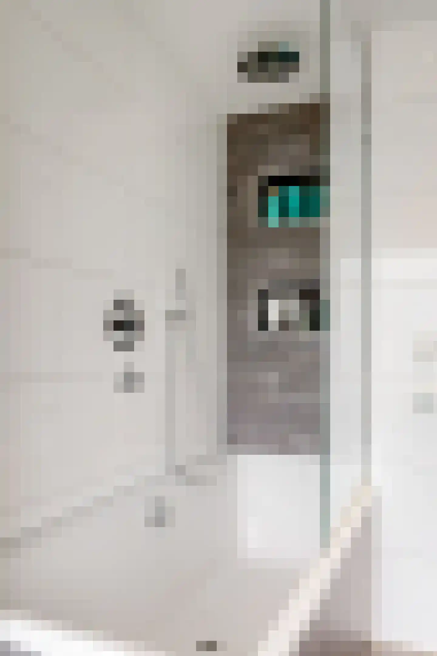Rijnstraat 9 Zoeterwoude thumbnail 26