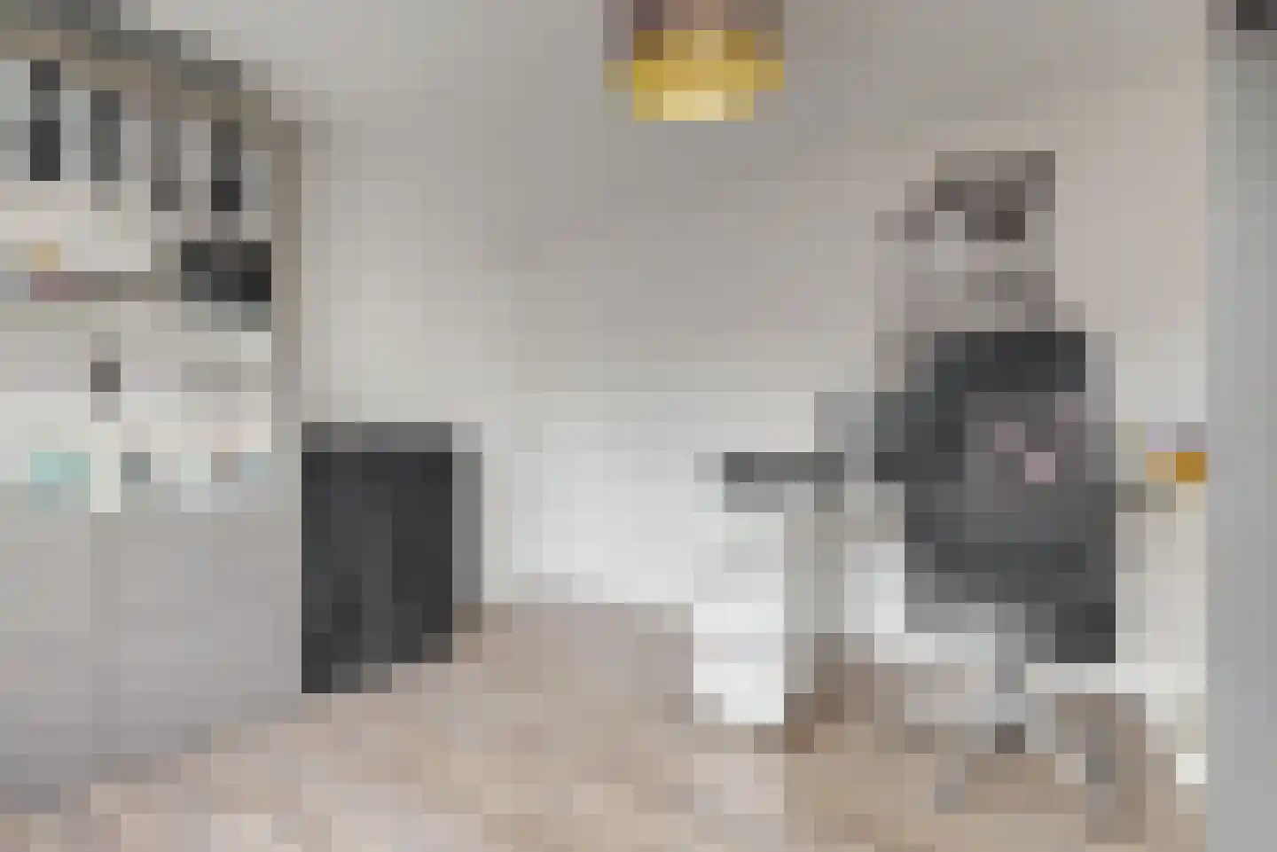 Rijnstraat 9 Zoeterwoude thumbnail 28