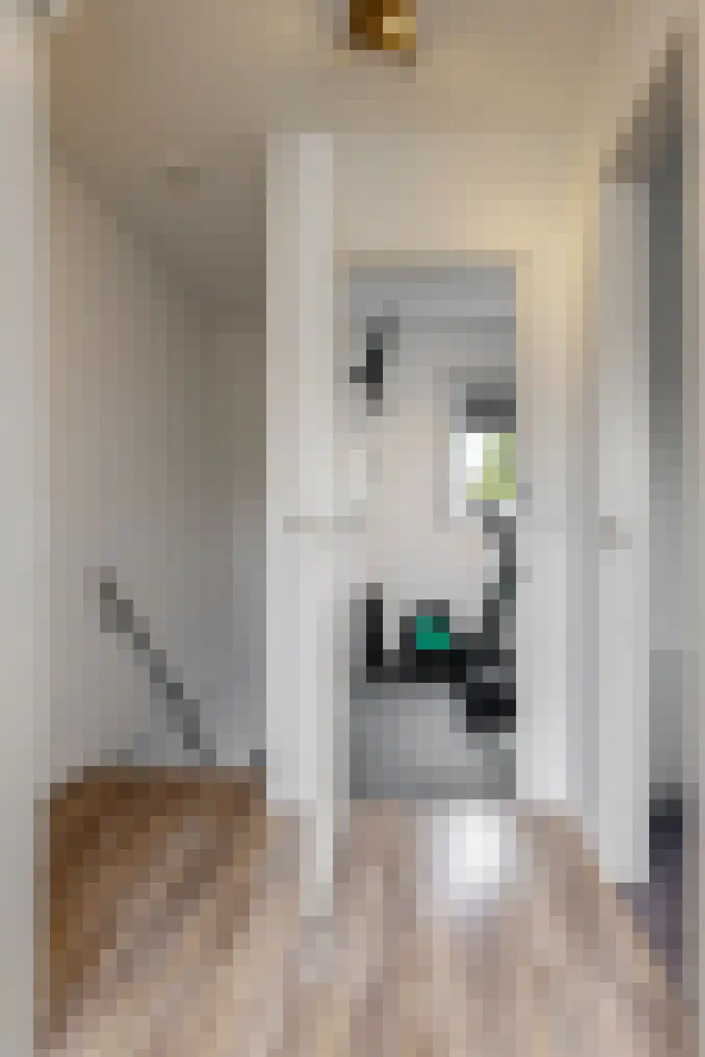 Rijnstraat 9 Zoeterwoude thumbnail 32