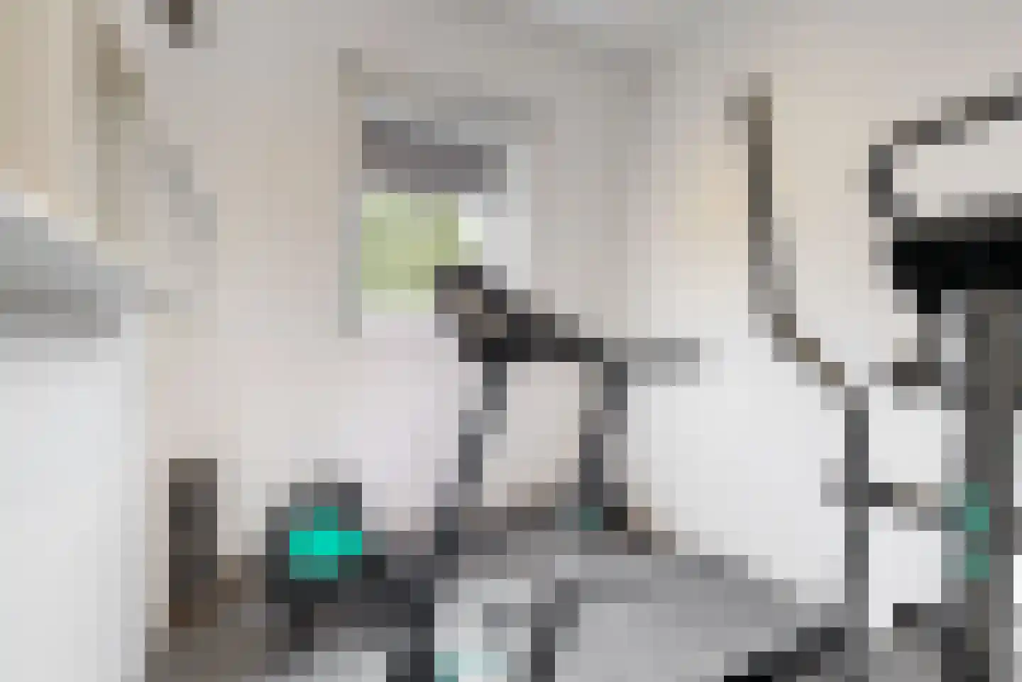 Rijnstraat 9 Zoeterwoude thumbnail 34