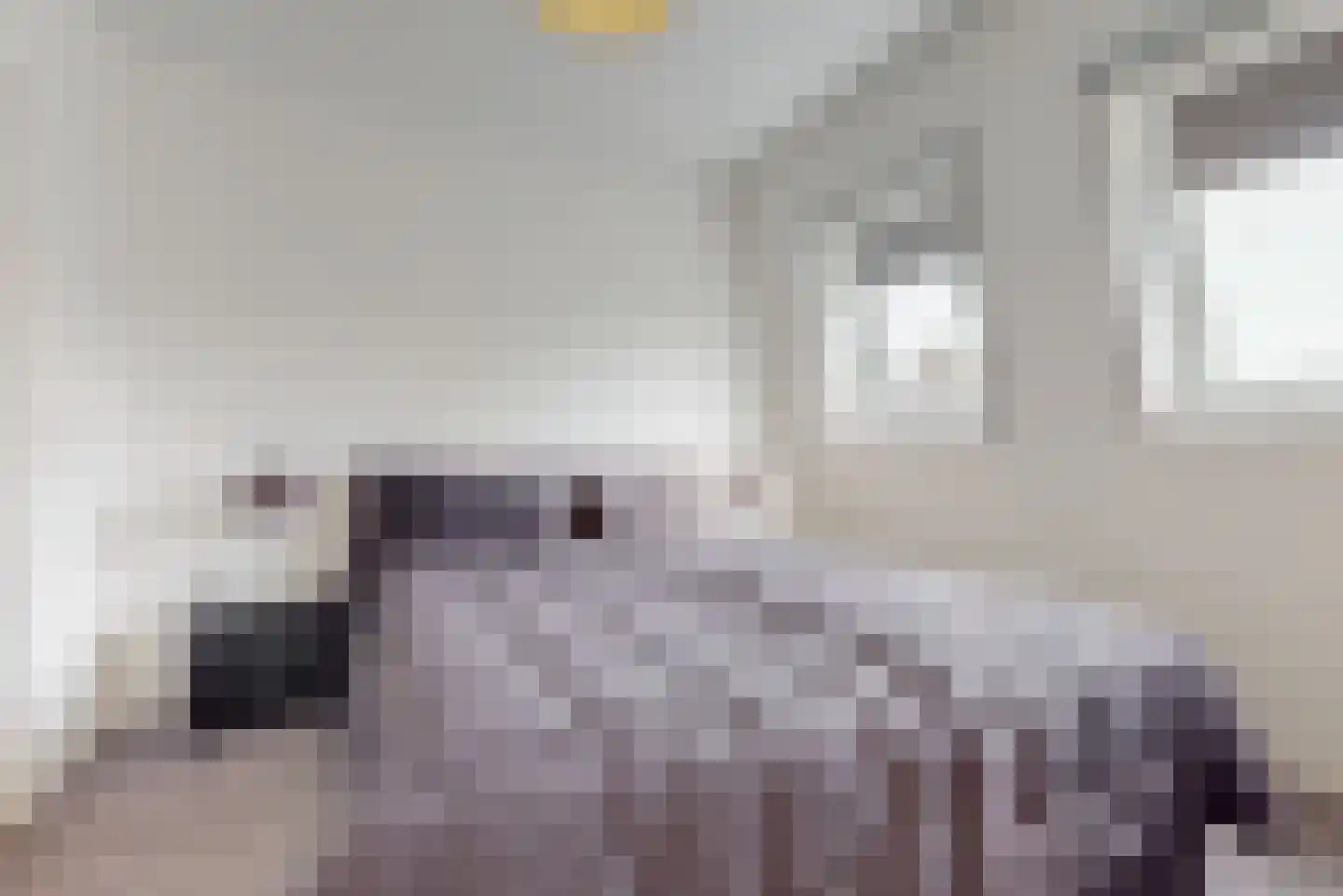 Rijnstraat 9 Zoeterwoude thumbnail 35