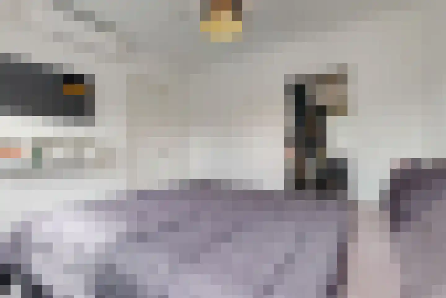 Rijnstraat 9 Zoeterwoude thumbnail 36