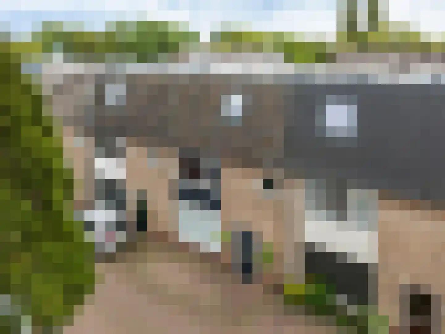 Rijnstraat 9 Zoeterwoude thumbnail 47