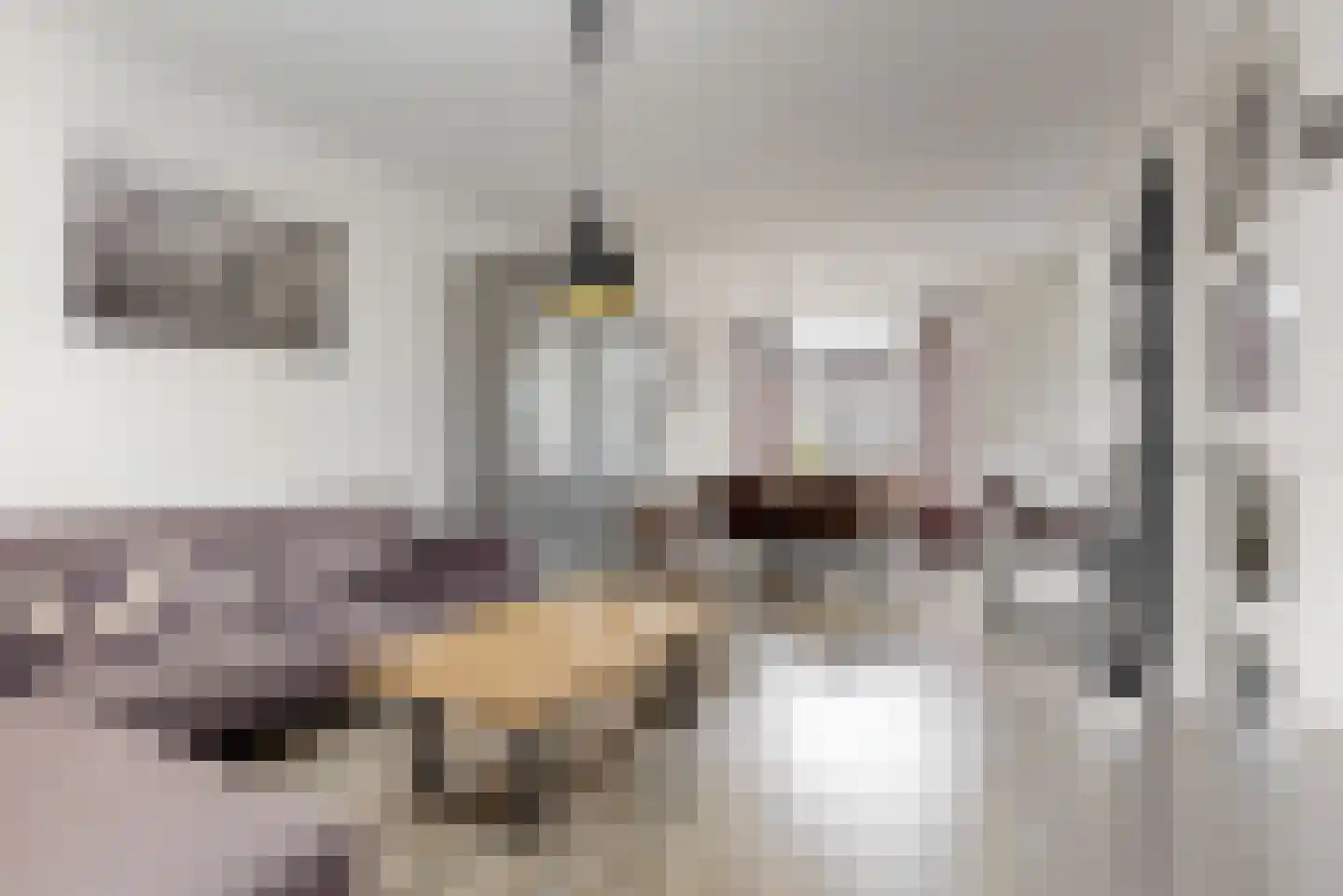 Rijnstraat 9 Zoeterwoude thumbnail 7
