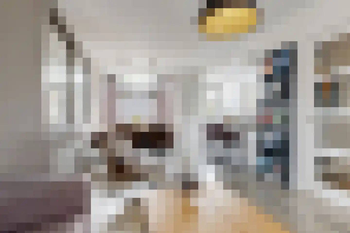 Rijnstraat 9 Zoeterwoude thumbnail 8