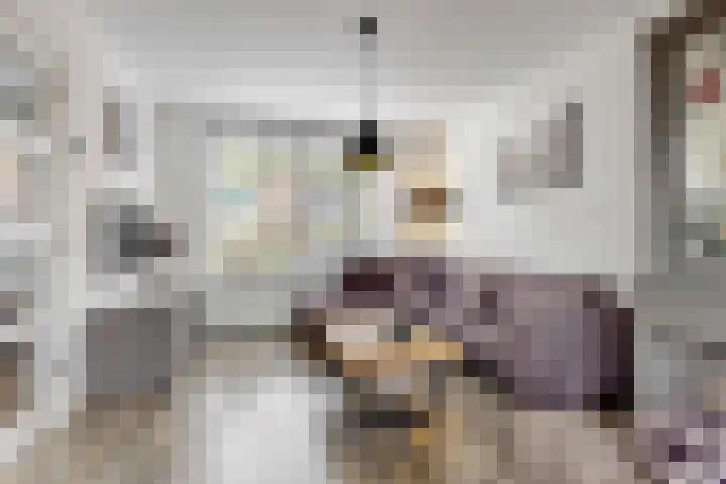 Rijnstraat 9 Zoeterwoude thumbnail 9