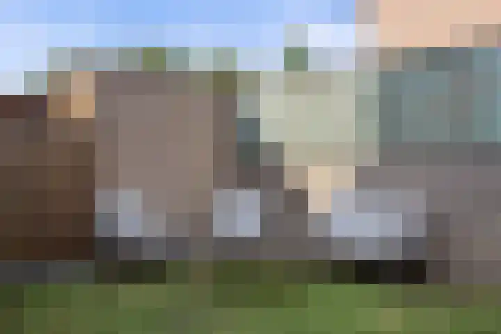 Rijnstraat 94 's-Hertogenbosch thumbnail 32