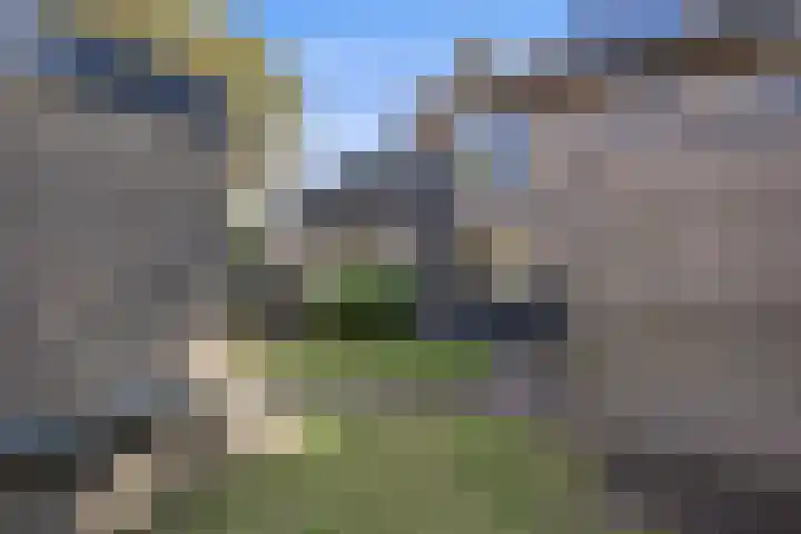 Rijnstraat 94 's-Hertogenbosch thumbnail 34
