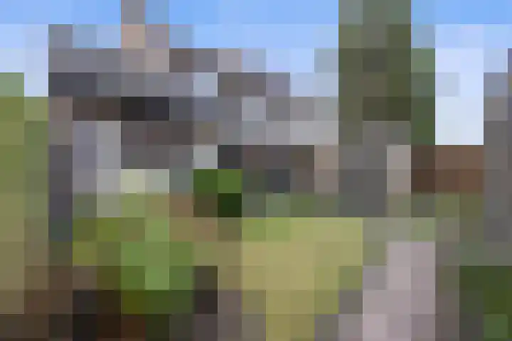 Rijnstraat 94 's-Hertogenbosch thumbnail 36