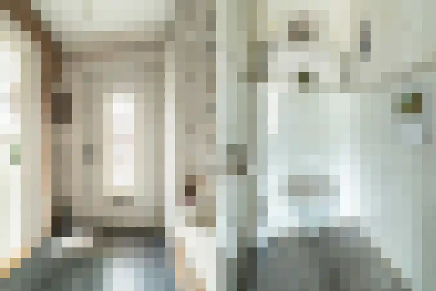Rijnstraat 98 Haarlem thumbnail 20