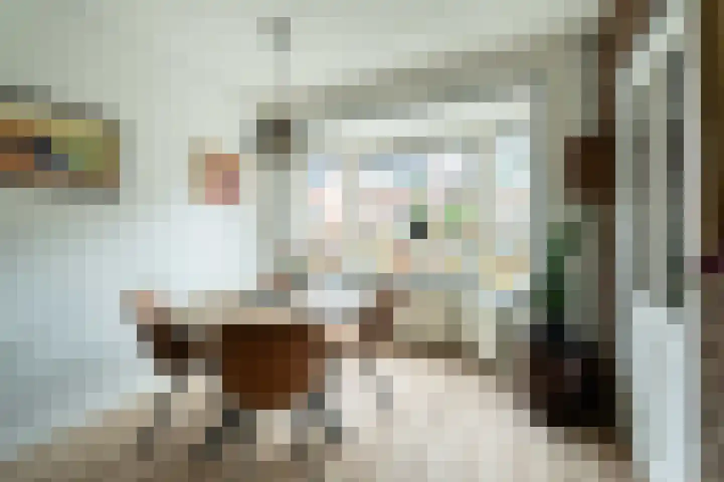 Rijnstraat 98 Haarlem thumbnail 7