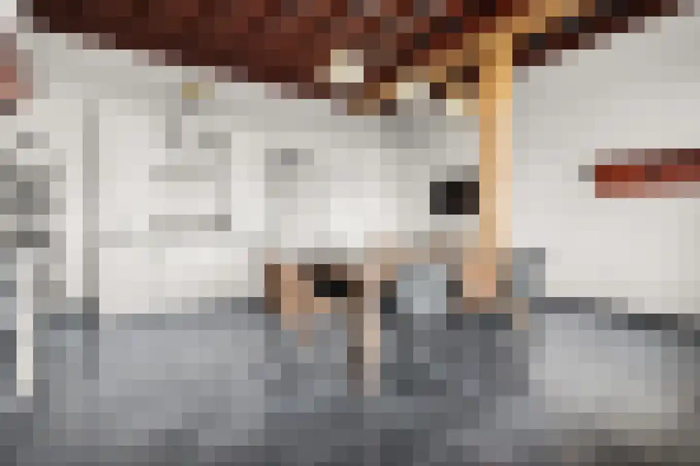 Rijnstrangenweg 15 Groessen thumbnail 13