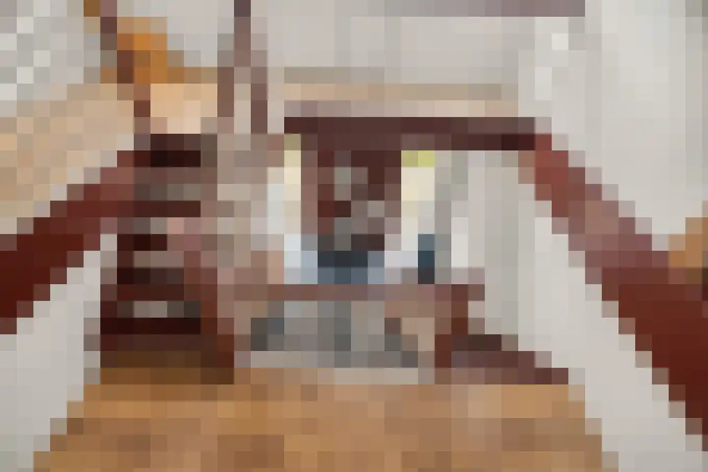 Rijnstrangenweg 15 Groessen thumbnail 18