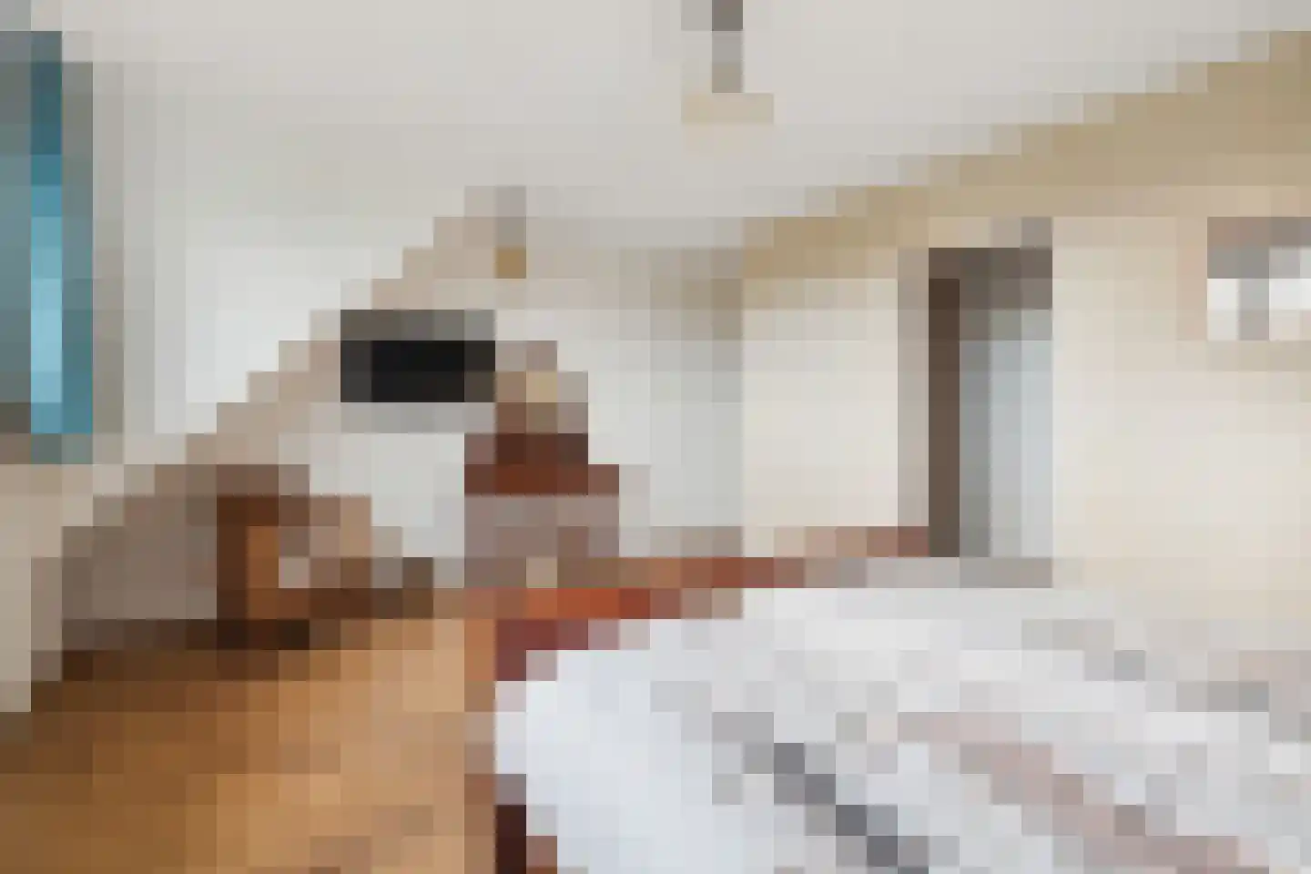 Rijnstrangenweg 15 Groessen thumbnail 21
