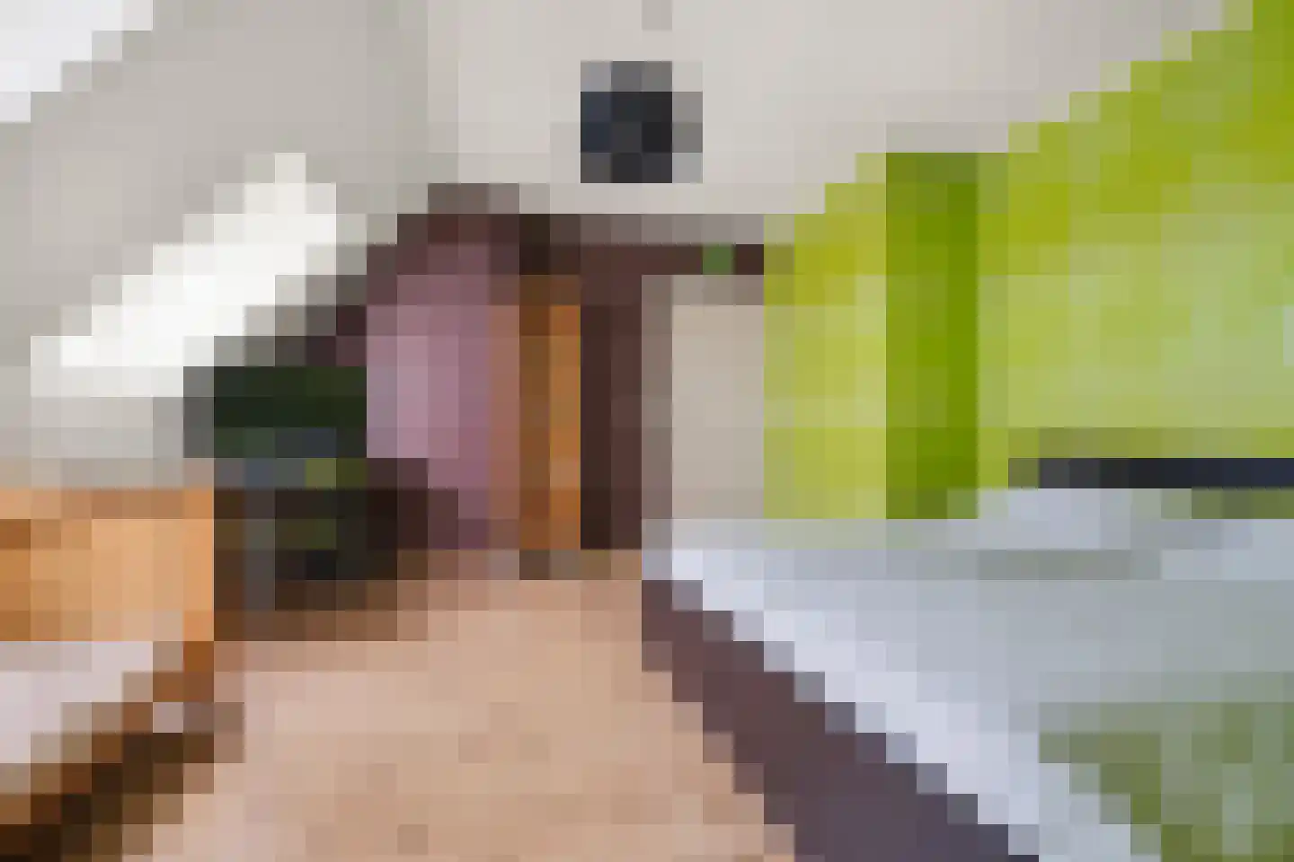 Rijnstrangenweg 15 Groessen thumbnail 26