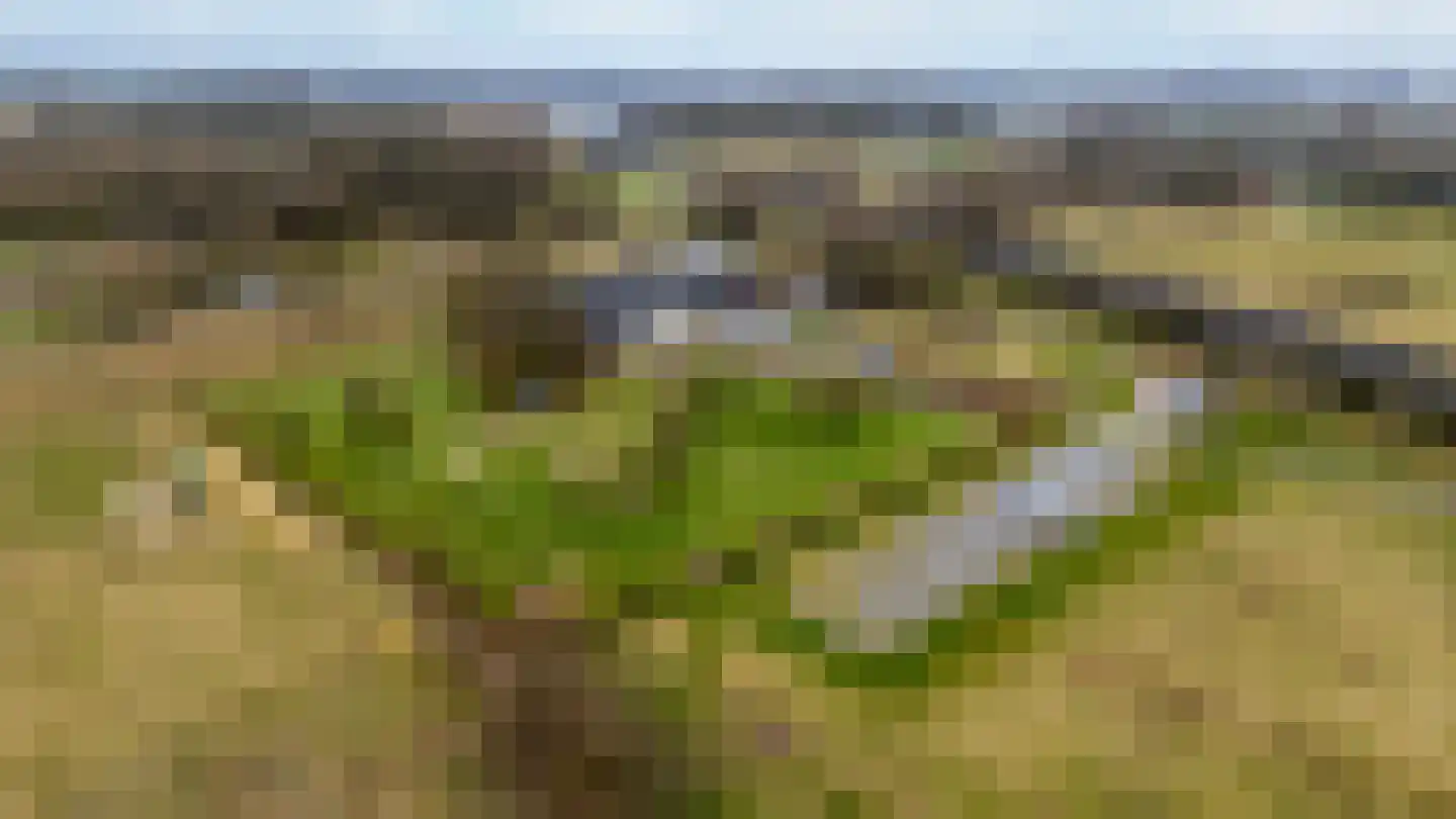 Rijnstrangenweg 15 Groessen thumbnail 72