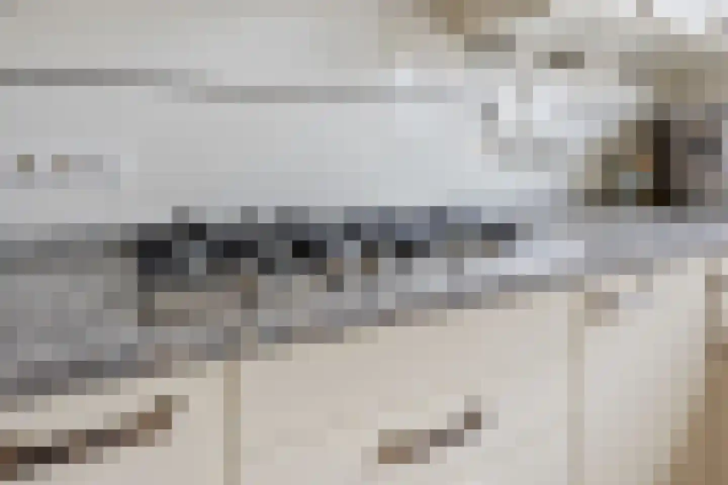 Rijnstroom 12 Zoetermeer thumbnail 13