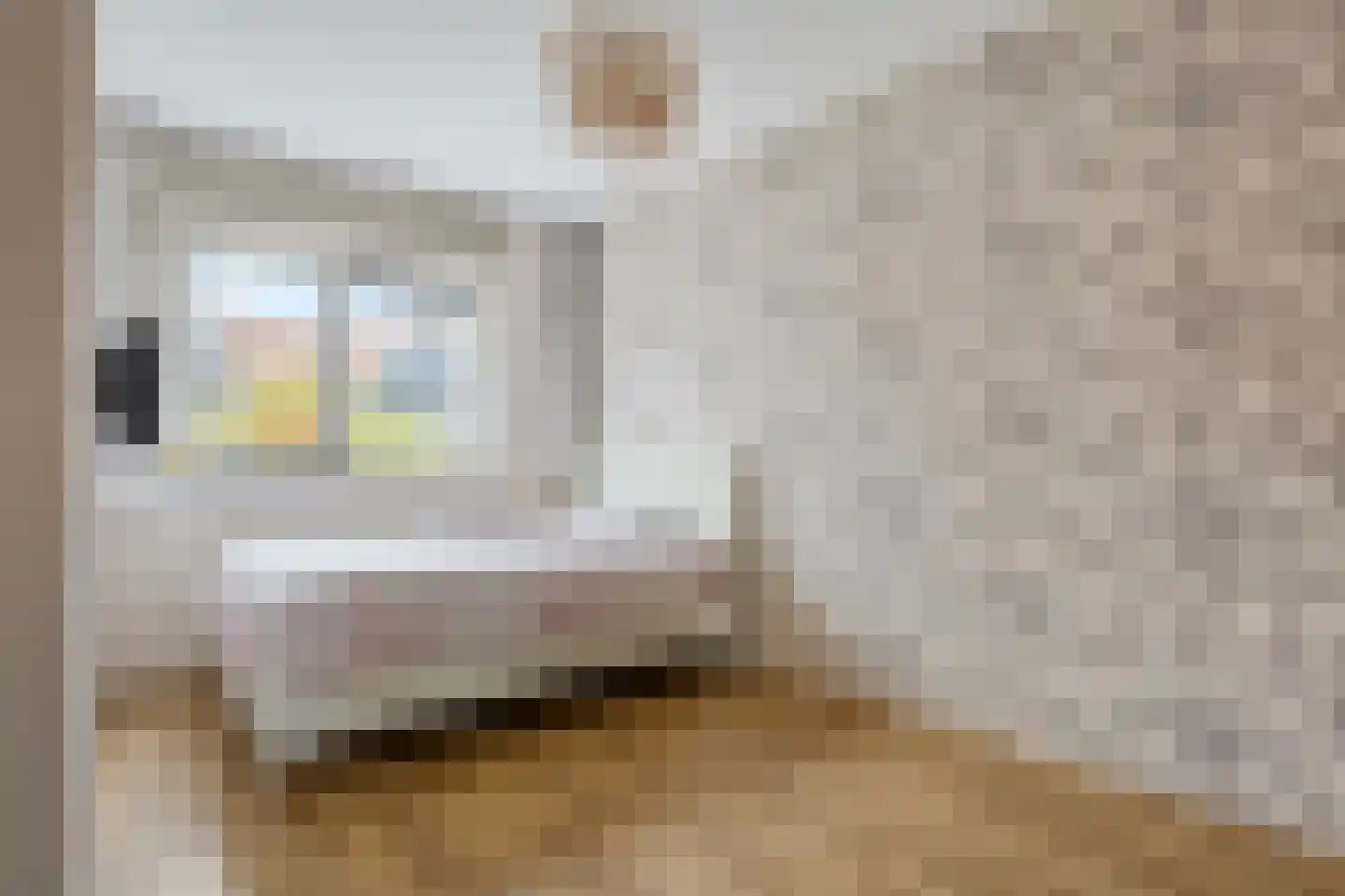 Rijnstroom 12 Zoetermeer thumbnail 18