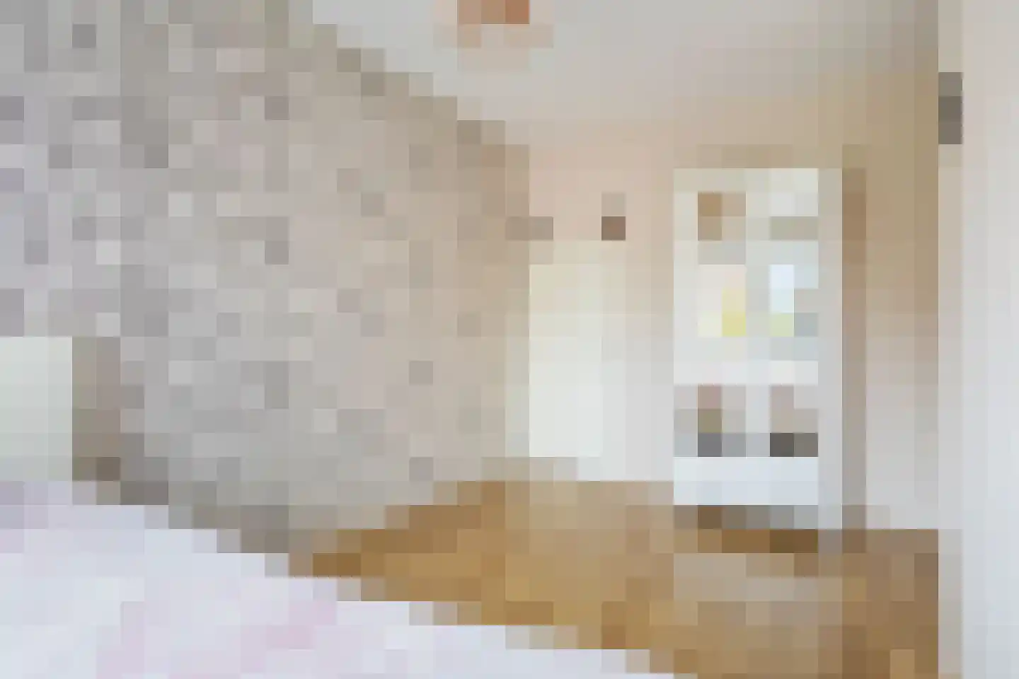 Rijnstroom 12 Zoetermeer thumbnail 19