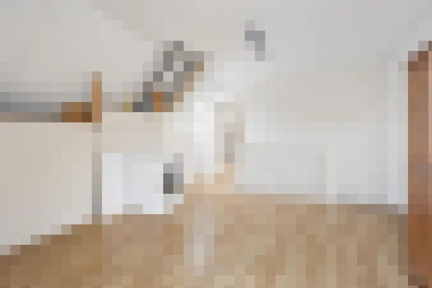 Rijnstroom 12 Zoetermeer thumbnail 25