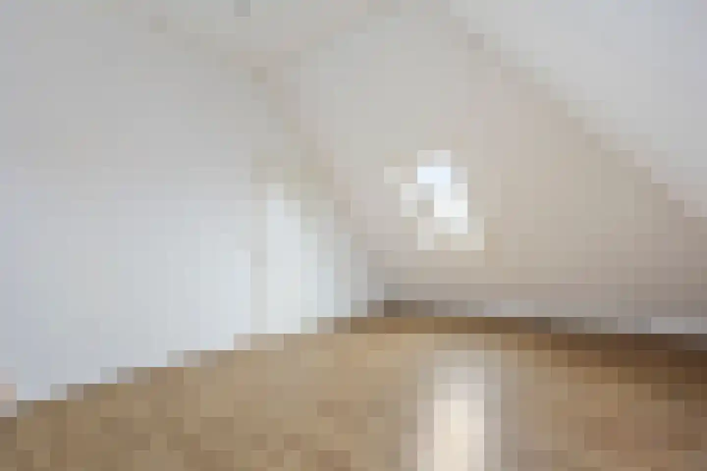 Rijnstroom 12 Zoetermeer thumbnail 28