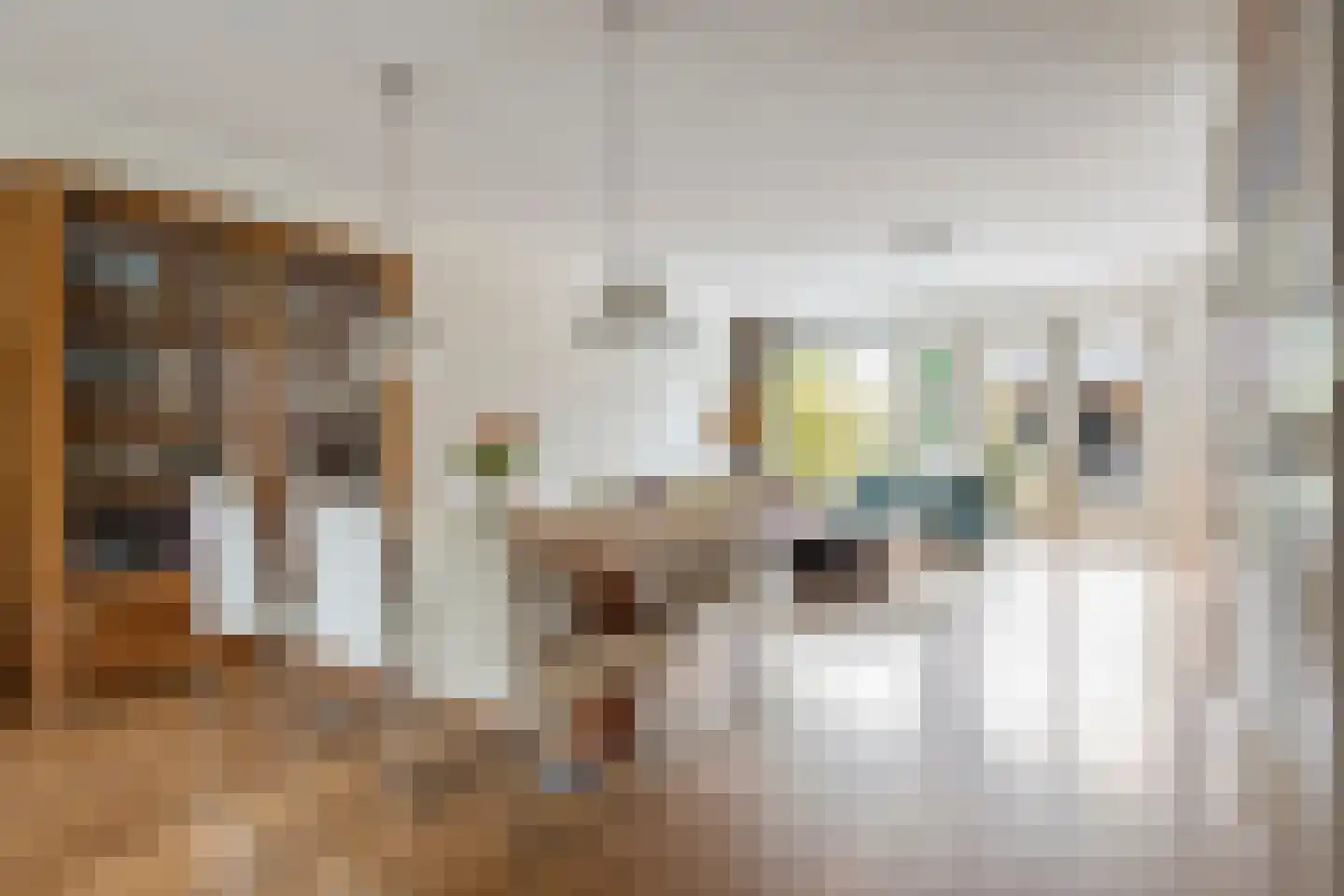 Rijnstroom 12 Zoetermeer thumbnail 8