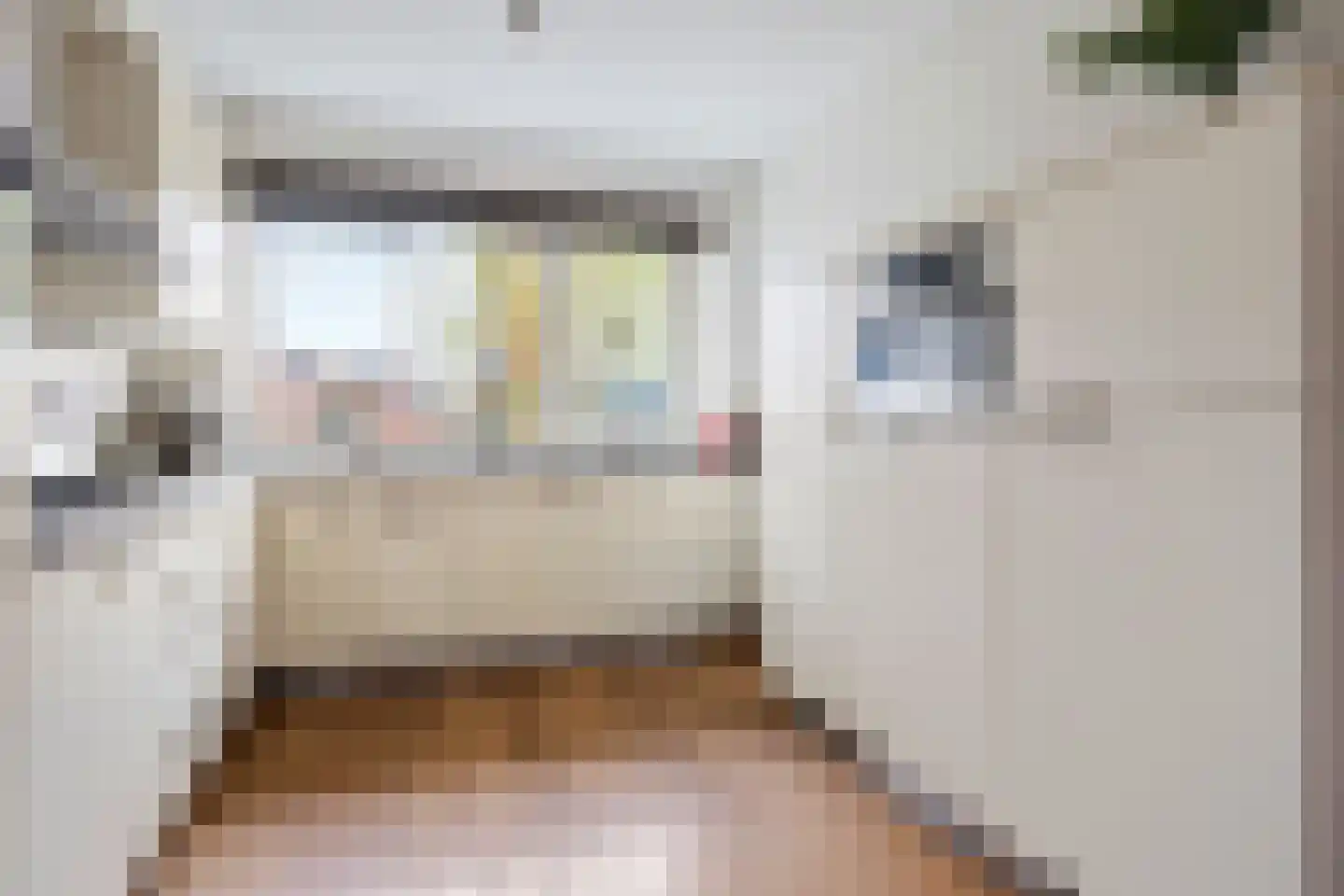 Rijnstroom 12 Zoetermeer thumbnail 9