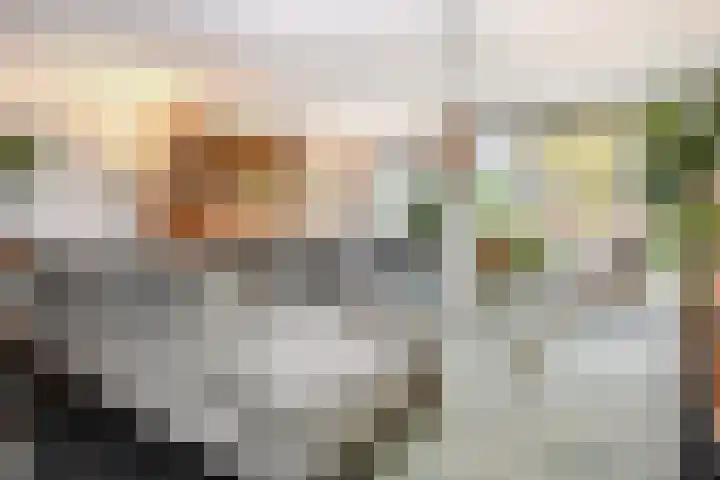 Rijnstroom 16 Zoetermeer thumbnail 11