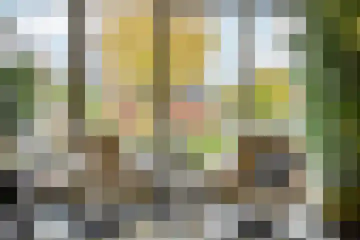 Rijnstroom 16 Zoetermeer thumbnail 13