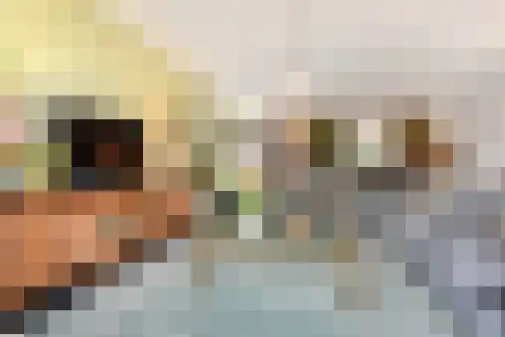 Rijnstroom 16 Zoetermeer thumbnail 14