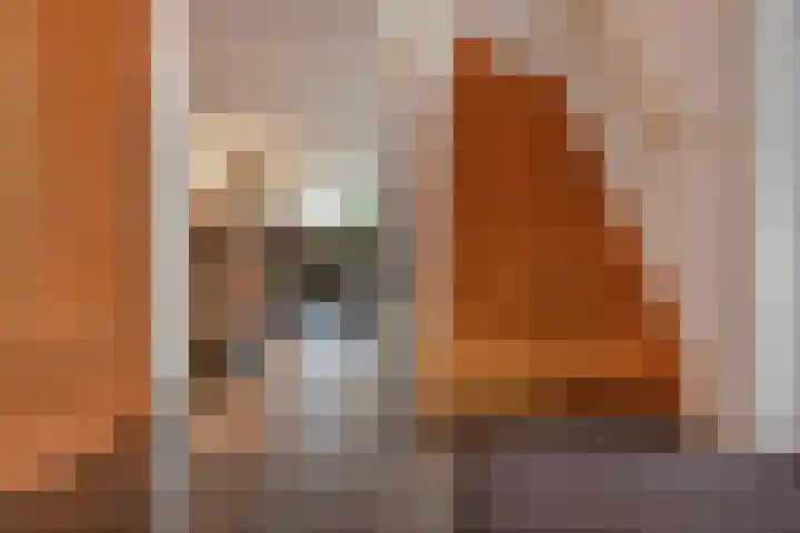 Rijnstroom 16 Zoetermeer thumbnail 23