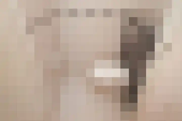 Rijnstroom 16 Zoetermeer thumbnail 33