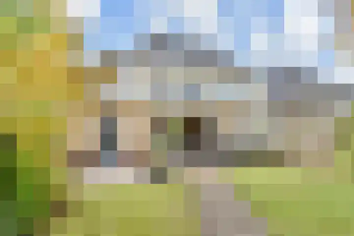 Rijnstroom 16 Zoetermeer thumbnail 51