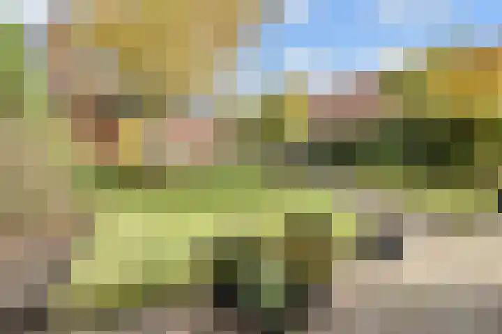 Rijnstroom 16 Zoetermeer thumbnail 52